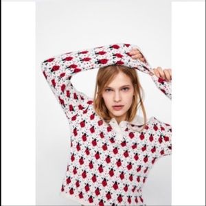 NWT Zara ladybugs knit sweater